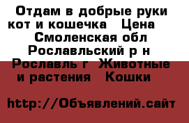 Отдам в добрые руки кот и кошечка › Цена ­ 1 - Смоленская обл., Рославльский р-н, Рославль г. Животные и растения » Кошки   